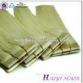 Direct Hair Factory Price Best Quality Russian Clip In Hair Extension